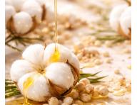 Regenera�n� �ada pro such� a po�kozen� vlasy Kl�ral System Retinoil