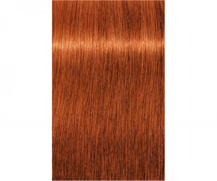 Barva na vlasy Schwarzkopf Professional Igora Royal 60 ml - 7-77 střední blond měděná extra