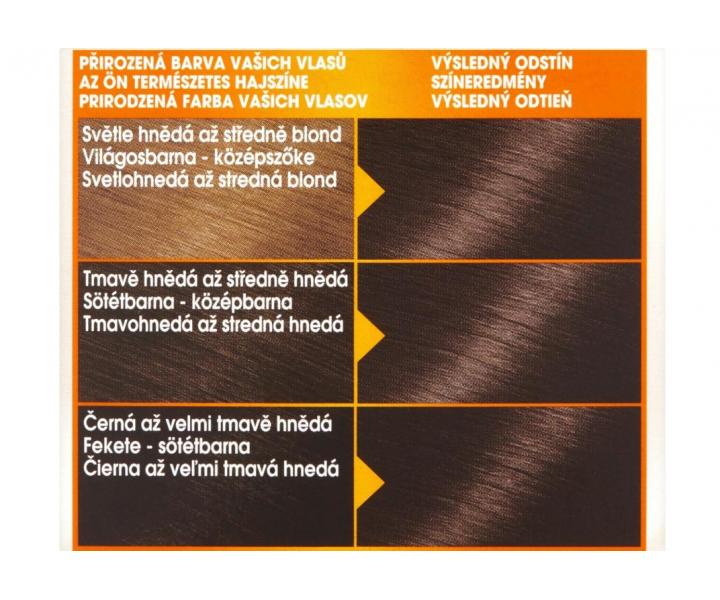 Permanentní barva Garnier Color Naturals 5.00 hnědá