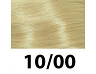 Barva na vlasy Subrina Professional Permanent Colour 100 ml - 10/00 nejsv. blond - studen prodn