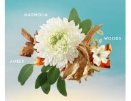 Drkov sada tlov kosmetiky Moroccanoil Nourishing Body Care Duo Fragrance Originale