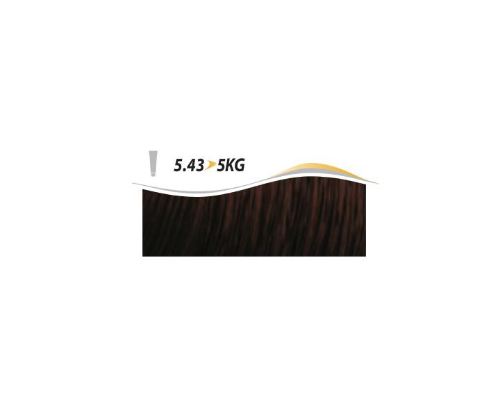 Krmov barva na vlasy Artgo ITS Color 150 ml - 5.43, mdno-zlat svtle hnd