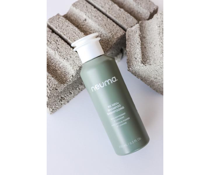 istic ampon pro vechny typy vlas Neuma Re Neu Shampoo - 250 ml