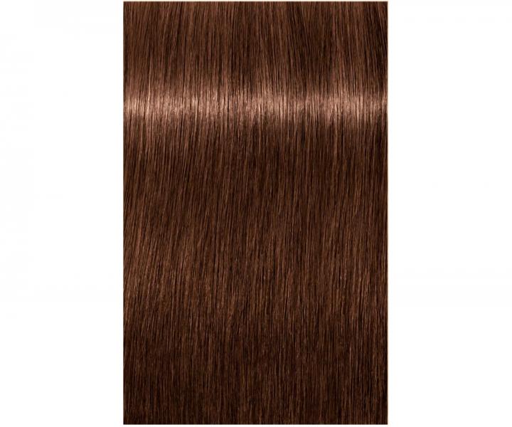 Barva na vlasy Schwarzkopf Professional Igora Royal 60 ml - 6-68 tmavá blond čokoládová červená