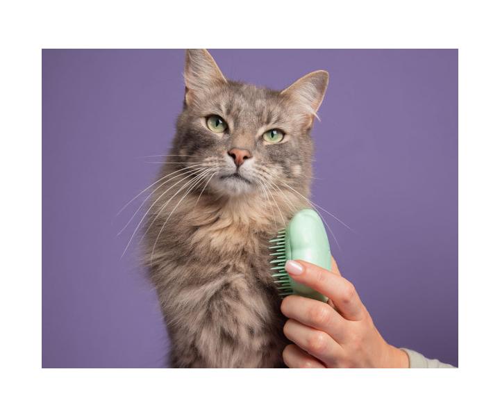 Kart na vyesvn koi srsti Pet Teezer Cat Grooming Brush - mentolov