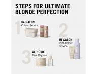 Zesv�tluj�c� pudr Schwarzkopf Professional BlondMe Premium Lightener 9+ - 450 g