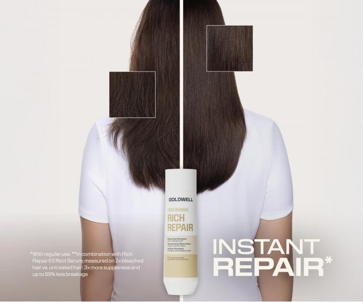 �ada pro such� a po�kozen� vlasy Goldwell Dualsenses Rich Repair