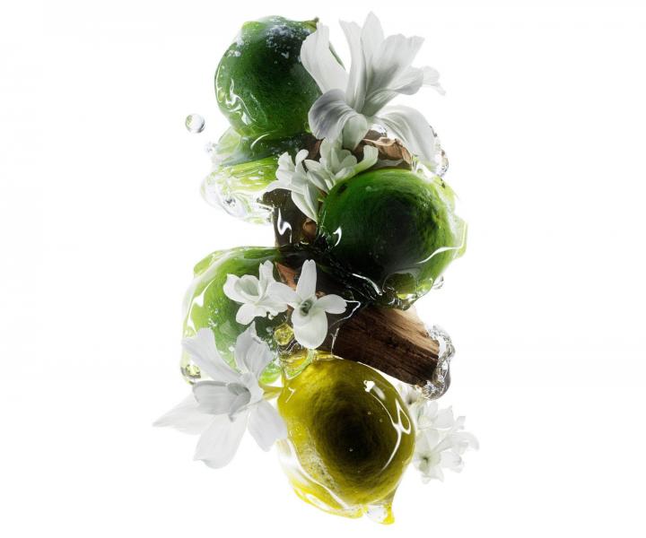 Maska pro barven� a po�kozen� vlasy Lor�al Professionnel Serie Expert Metal Detox - 250 ml