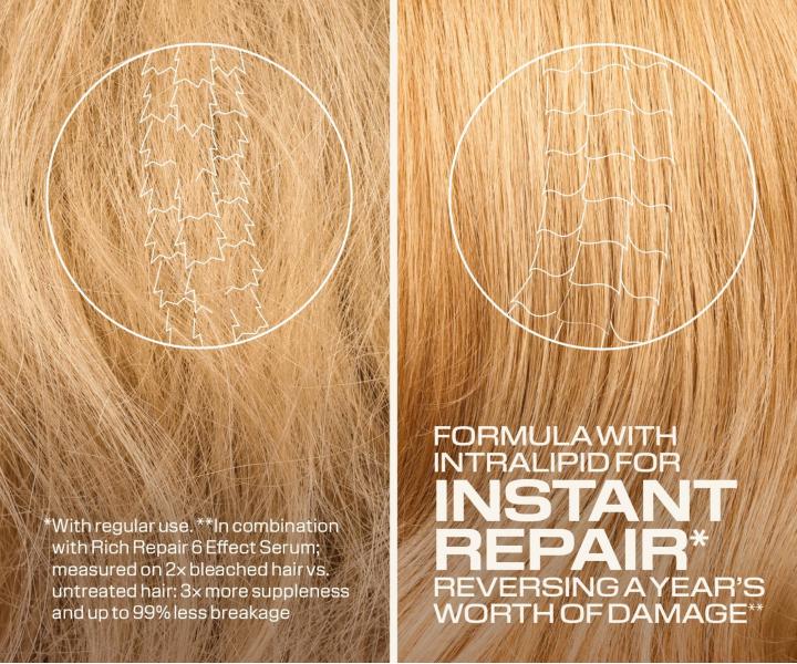 �ada pro such� a po�kozen� vlasy Goldwell Dualsenses Rich Repair