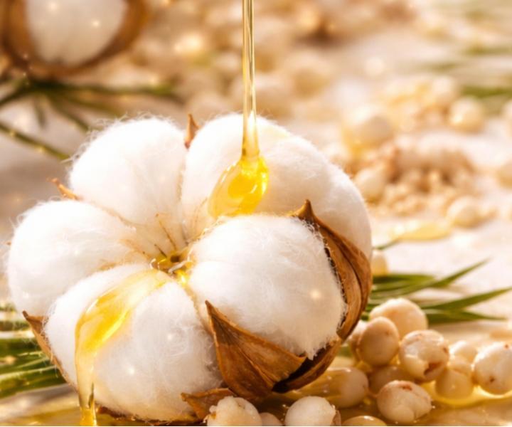 Revitaliza�n� bezoplachov� kr�m pro such� a po�kozen� vlasy Kl�ral System Retinoil Revitalising Absolute Fluid - 100 ml