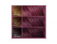 Permanentní barva na vlasy Loréal Colorista Permanent Gel Violet - fialová