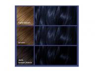 Permanentn barva na vlasy Loral Colorista Permanent Gel Blue Black - modroern