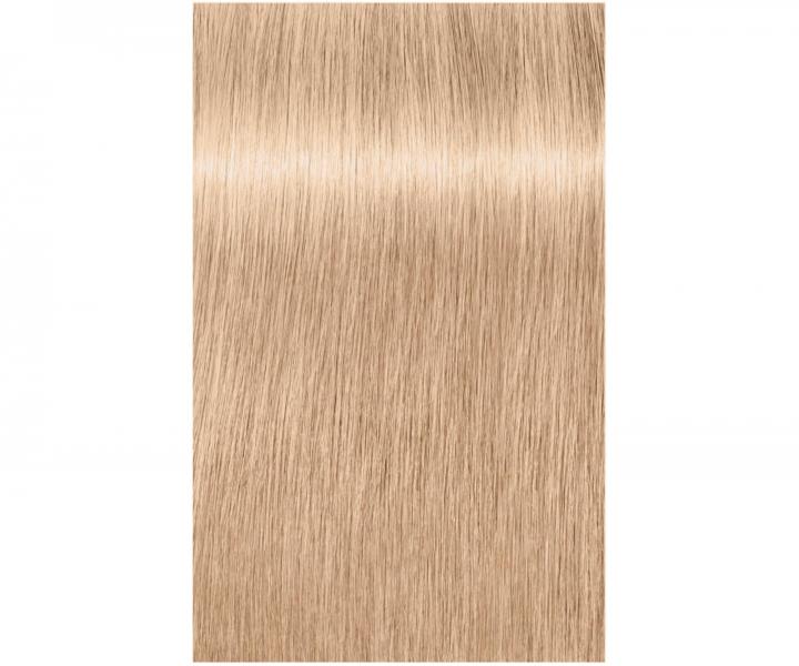 Zesvětlující barva na vlasy Schwarzkopf Professional Igora Royal Highlifts 60 ml - 10-19 ultrablond popelavá fialová