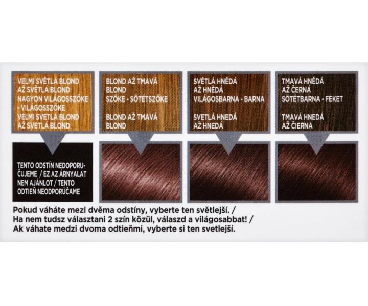 Permanentní barva Loréal Colorista Paint 5.15 Marsala - hnědočervená