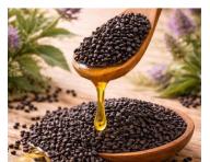 Regenera�n� �ada pro such� a po�kozen� vlasy Kl�ral System Retinoil