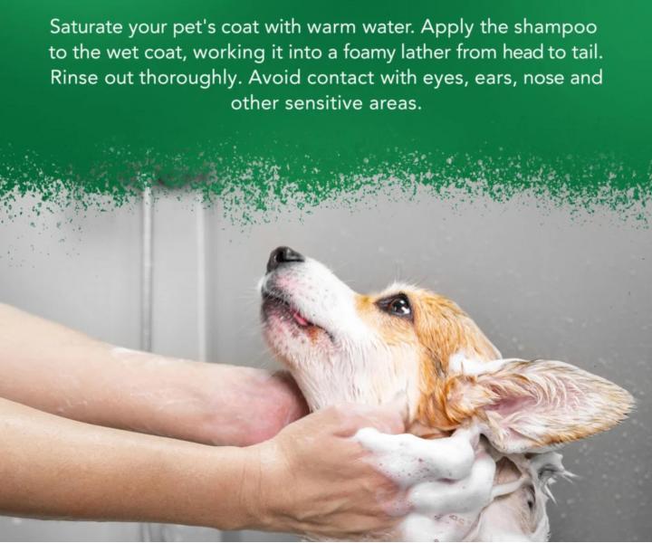 Zklid�uj�c� �ampon pro citlivou zv��ec� poko�ku Wahl Professional Animal Shampoo Aloe Soothe - 500 ml, koncentr�t