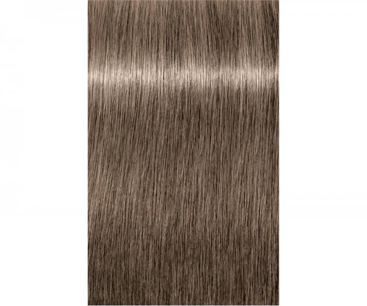 Barva na vlasy Schwarzkopf Professional Igora Royal 60 ml - 8-1 světlá blond popelavá