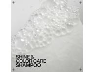 Rozjasňující šampon pro barvené vlasy Redken Acidic Color Gloss Gentle Color Shampoo - 500 ml
