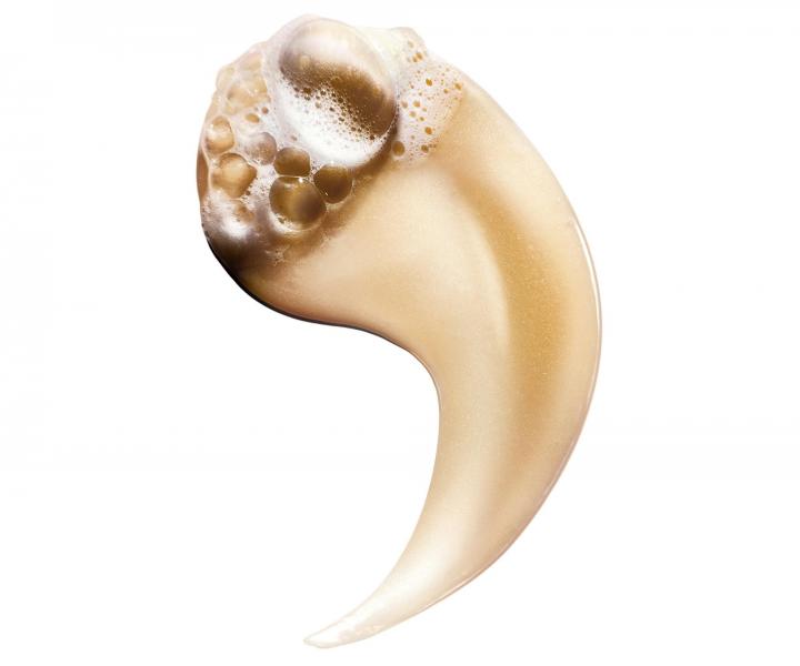 Řada pro suché a poškozené vlasy L’Oréal Professionnel Serie Expert Absolut Repair