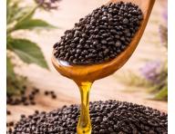 Revitaliza�n� bezoplachov� kr�m pro such� a po�kozen� vlasy Kl�ral System Retinoil Revitalising Absolute Fluid - 100 ml