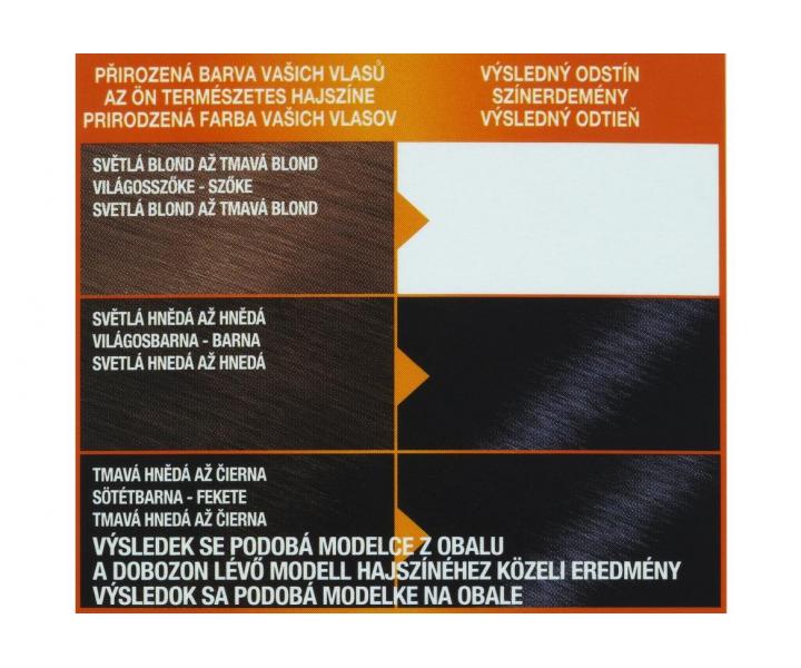 Permanentní barva Garnier Color Naturals 2.10 modročerná