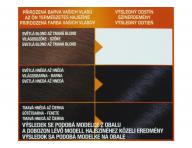 Permanentní barva Garnier Color Naturals 2.10 modročerná