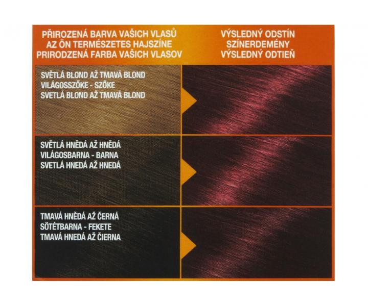 Permanentní barva Garnier Color Naturals 460 rubínově červená