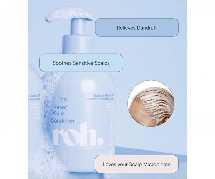 �ada pro zdravou poko�ku hlavy ROH The Reset Scalp