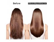 Srum pro pokozen vlasy Loral Professionnel Serie Expert Absolut Repair Molecular - 250 ml