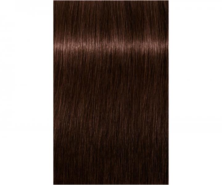 Barva na vlasy Schwarzkopf Professional Igora Royal 60 ml - 4-68 středně hnědá čokoládově červená