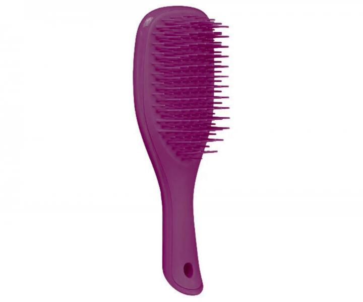 Dárková sada cestovního kartáče na rozčesávání vlasů Tangle Teezer Mini a skřipce Invisibobble Everclaw