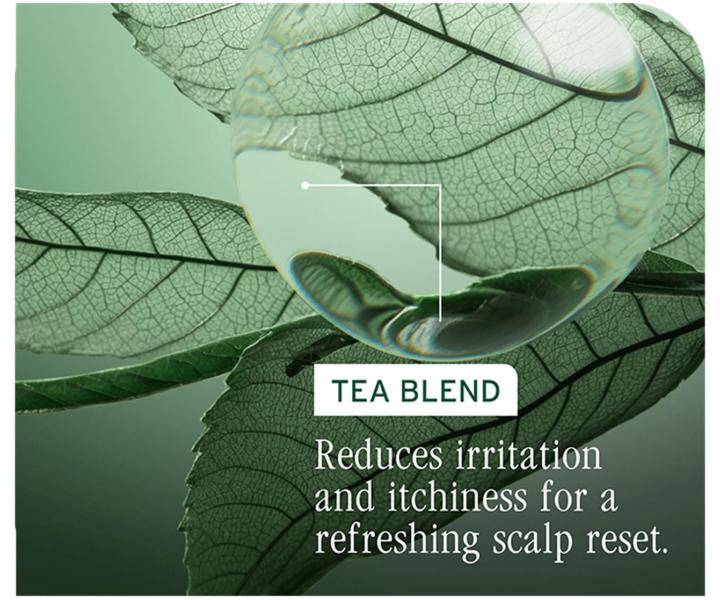 P��pravn� �istic� p��e pro v�echny typy vlasov� poko�ky Biolage Scalp Sync Purifying Scalp Concentrate - 200 ml