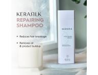 Regeneran ada pro such a pokozen vlasy Kerasilk Repairing