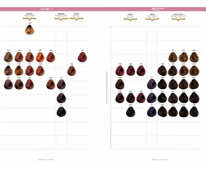 Barva na vlasy Selective Professional ColorEvo Beyond Color 100 ml - 2.0 velmi tmav� hn�d�
