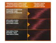 Permanentní barva Garnier Color Naturals 460 rubínově červená