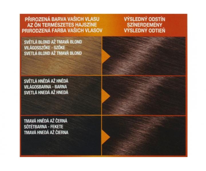 Permanentn� barva Garnier Color Naturals 5.52 ka�tanov�