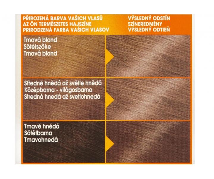 Permanentn barva Garnier Color Naturals 7.00 blond