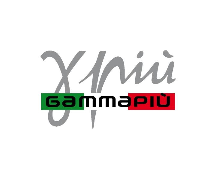 Profesion�ln� �ehli�ka Gamma Pi� STYLE 09
