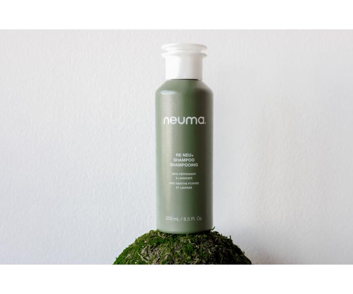 istic ampon pro vechny typy vlas Neuma Re Neu Shampoo - 250 ml