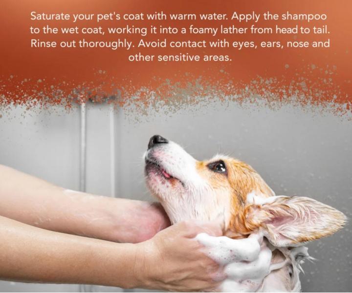 Hloubkov� �istic� �ampon pro siln� zne�i�t�nou zv��ec� srst Wahl Professional Animal Shampoo Dirty Beastie - 500 ml, koncentr�t
