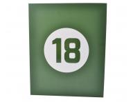 Profesion�ln� f�n na vlasy Fox Race 18 - 2100 W