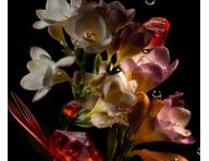 Revitaliza�n� hydrata�n� �ada pro st�rnouc� vlasy K�rastase Chronologiste