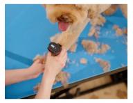 Profesion�ln� strojek na srst Wahl Professional KM Supera Cordless Animal Clipper 1263-0471