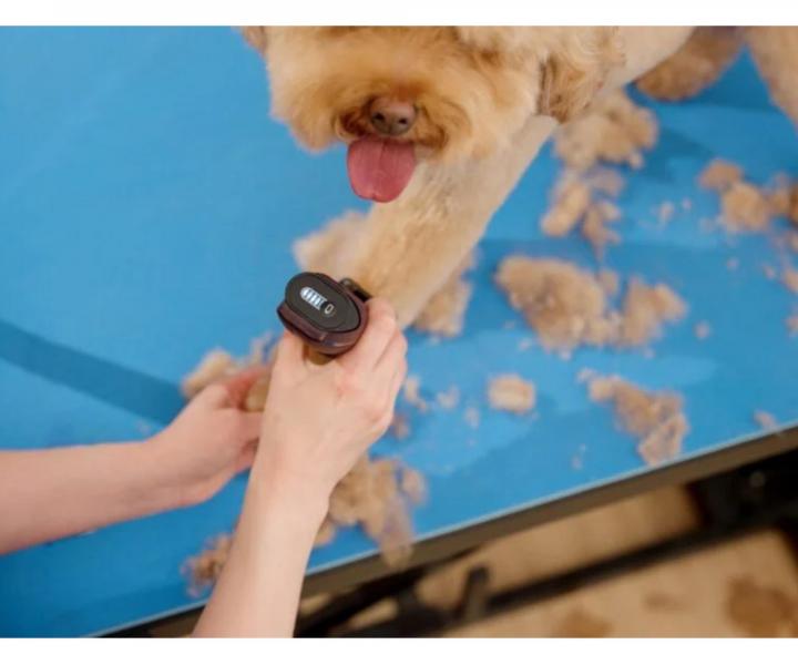 Profesion�ln� strojek na srst Wahl Professional KM Supera Cordless Animal Clipper 1263-0471