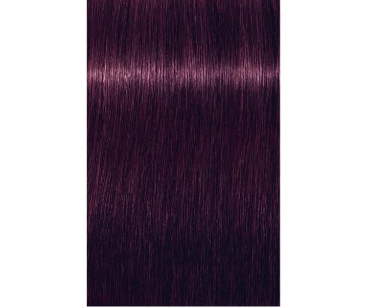Barva na vlasy Schwarzkopf Professional Igora Royal 60 ml - 0-99 Booster fialový
