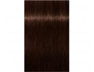 Barva na vlasy Schwarzkopf Professional Igora Royal 60 ml - 3-68 tmav hnd okoldov erven