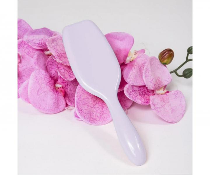 Kart�� na roz�es�v�n� vlas� Sister Young Ayla Hair Brush - fialov�