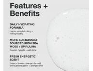 Hydratan ampon pro such vlasy Paul Mitchell Hydrate Sheer Hydration Shampoo - 300 ml