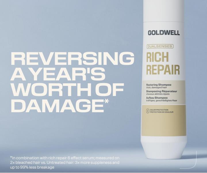 �ada pro such� a po�kozen� vlasy Goldwell Dualsenses Rich Repair