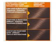 Permanentní barva Garnier Color Naturals 6.00 tmavá blond